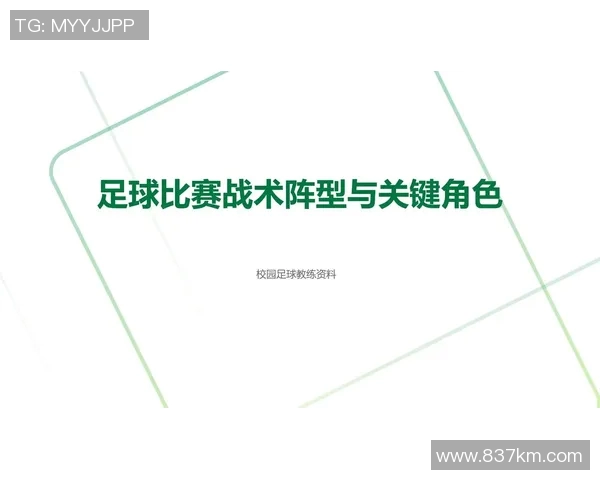 深入分析深圳足球队盯防战术的特点与执行效果
