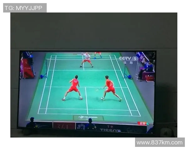 羽毛球战术分析揭示上海羽毛球队实力排名第4的背后原因与策略